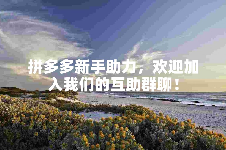 拼多多新手助力，欢迎加入我们的互助群聊！