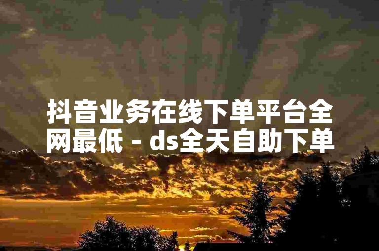 抖音业务在线下单平台全网最低 - ds全天自助下单微信支付