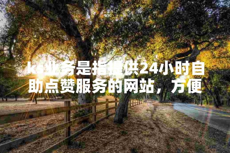 ks业务是指提供24小时自助点赞服务的网站，方便用户随时下单。