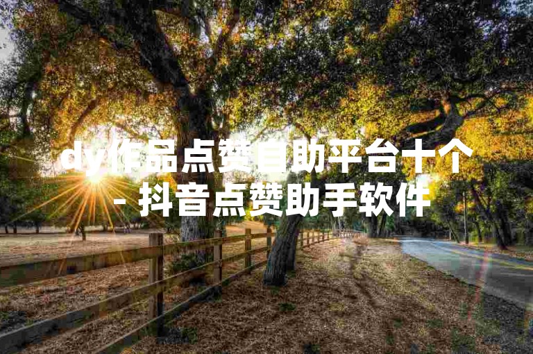 dy作品点赞自助平台十个 - 抖音点赞助手软件