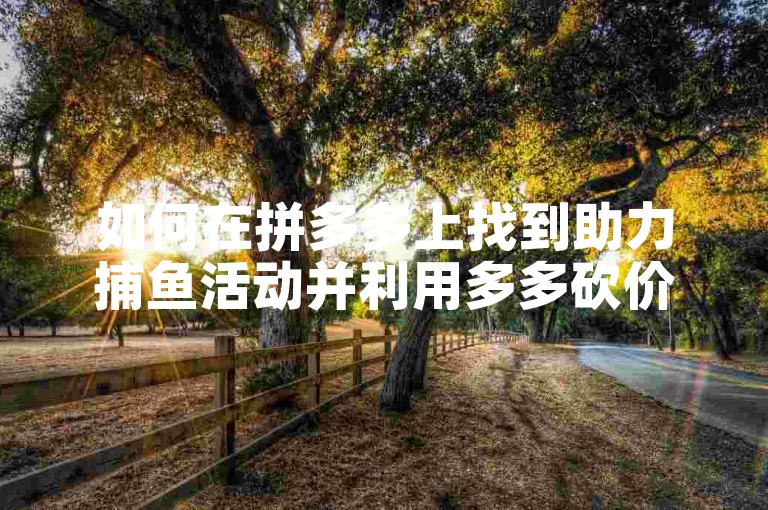 如何在拼多多上找到助力捕鱼活动并利用多多砍价网站来获取帮助？