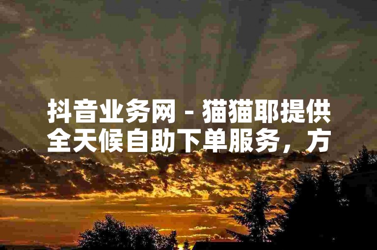 抖音业务网 - 猫猫耶提供全天候自助下单服务，方便用户随时满足需求。
