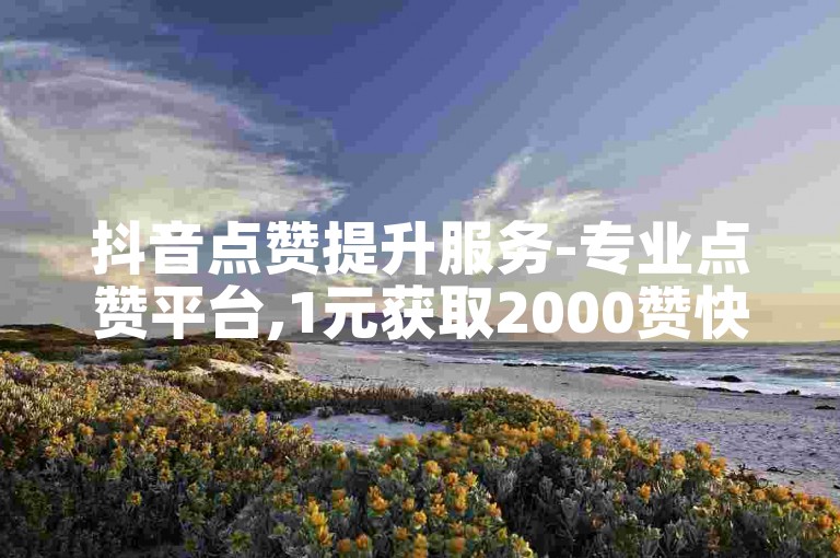 抖音点赞提升服务-专业点赞平台,1元获取2000赞快速安全下单