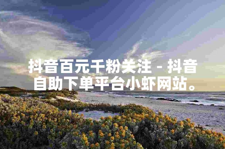 抖音百元千粉关注 - 抖音自助下单平台小虾网站。