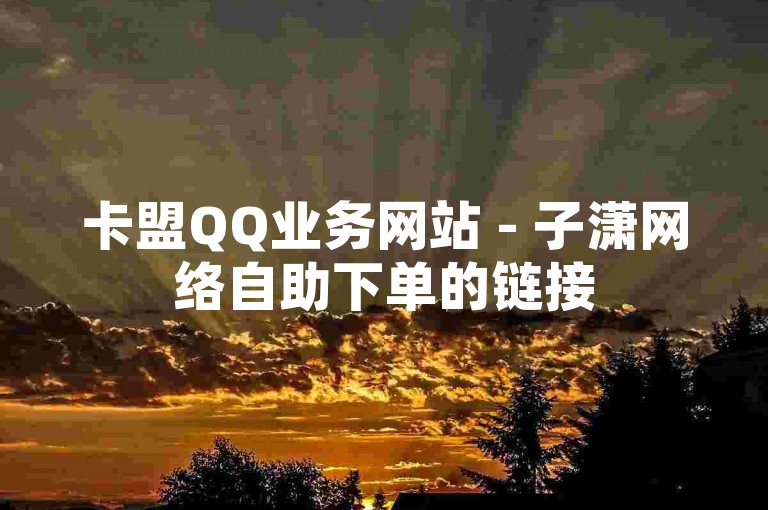 卡盟QQ业务网站 - 子潇网络自助下单的链接