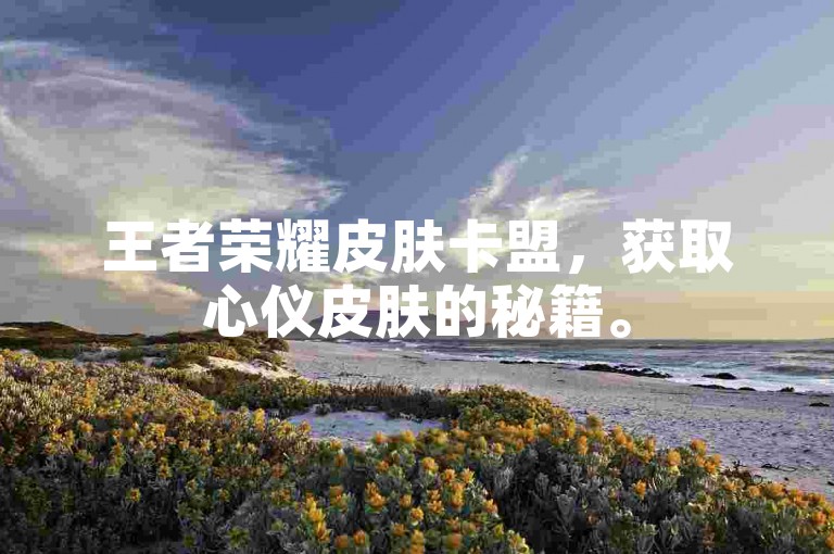 王者荣耀皮肤卡盟，获取心仪皮肤的秘籍。