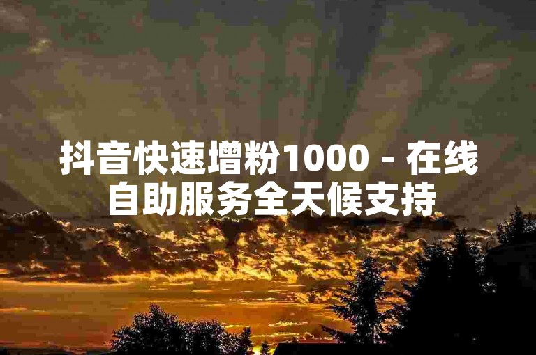 抖音快速增粉1000 - 在线自助服务全天候支持