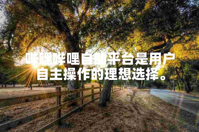 哔哩哔哩自助平台是用户自主操作的理想选择。