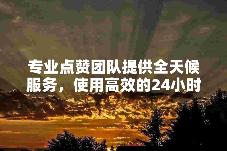 专业点赞团队提供全天候服务，使用高效的24小时自动秒单系统。