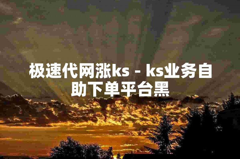 极速代网涨ks - ks业务自助下单平台黑
