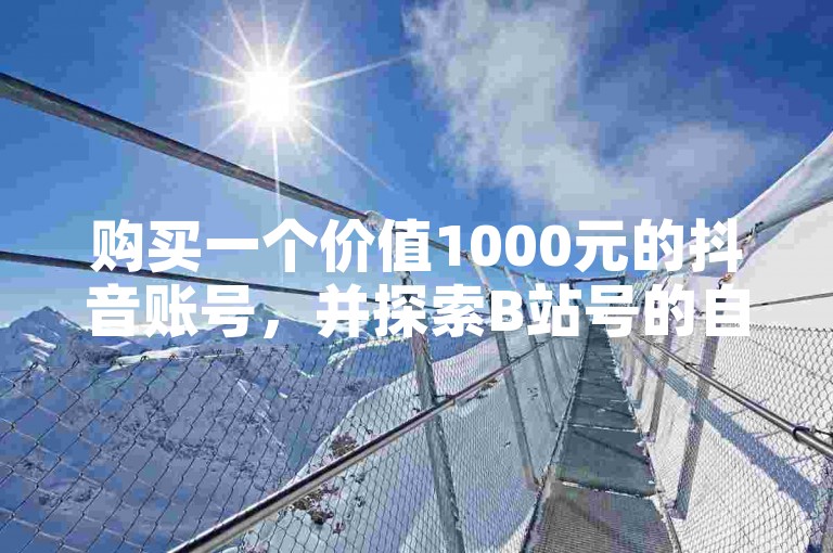 购买一个价值1000元的抖音账号，并探索B站号的自动发卡服务。