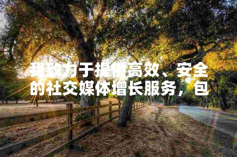 我致力于提供高效、安全的社交媒体增长服务，包括点赞和粉丝增加等。