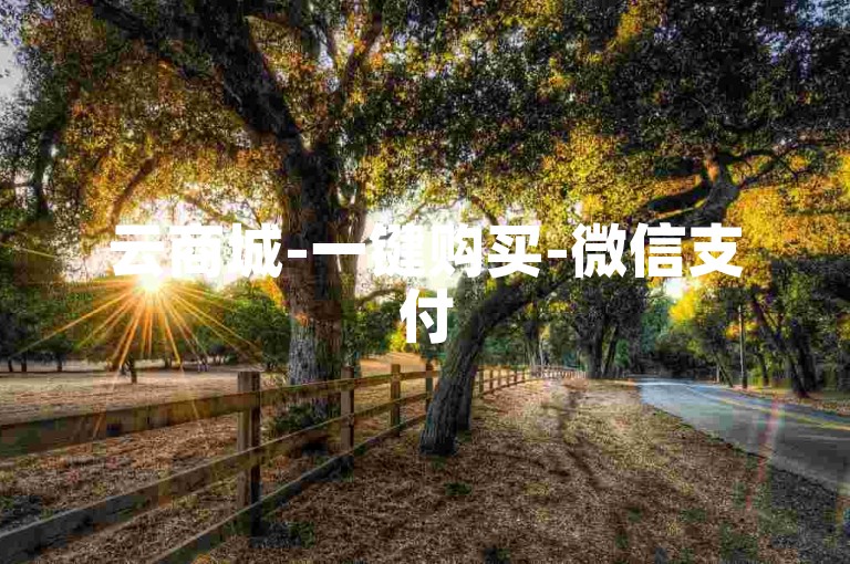 云商城-一键购买-微信支付