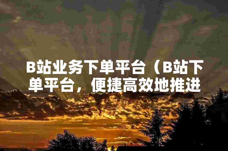 B站业务下单平台（B站下单平台，便捷高效地推进您的品牌营销）