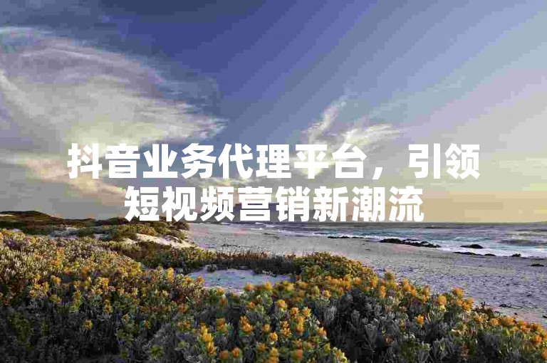 抖音业务代理平台，引领短视频营销新潮流