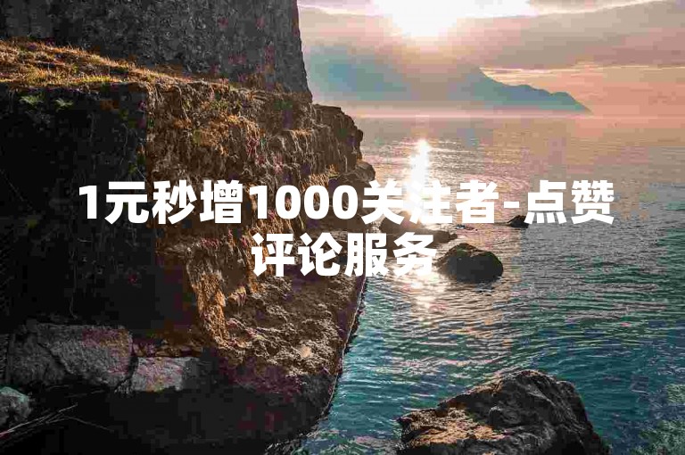 1元秒增1000关注者-点赞评论服务