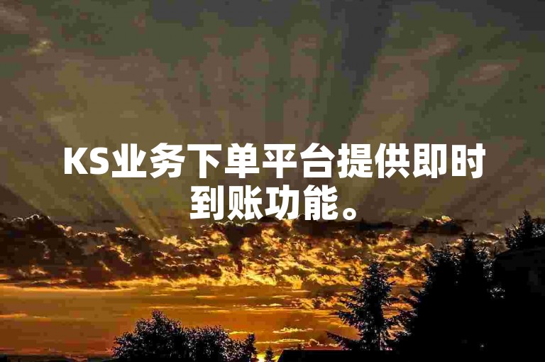 KS业务下单平台提供即时到账功能。