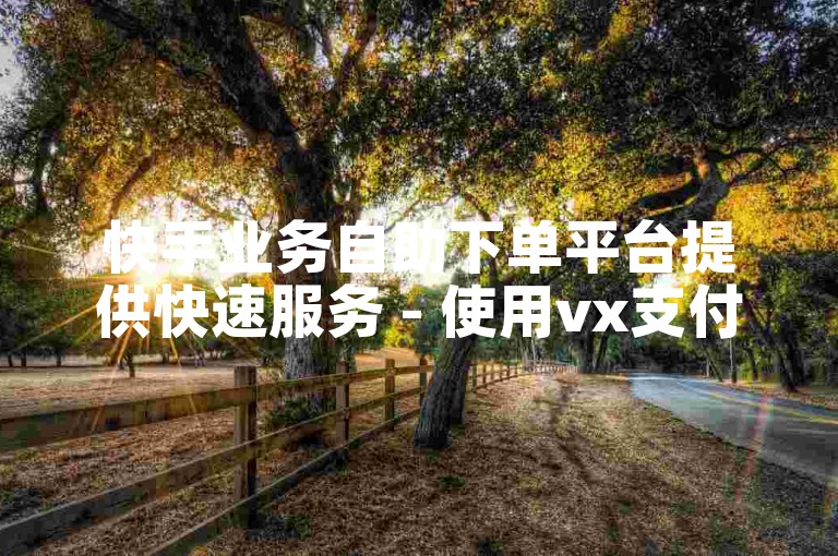 快手业务自助下单平台提供快速服务 - 使用vx支付享受ks点赞服务的优惠价格。