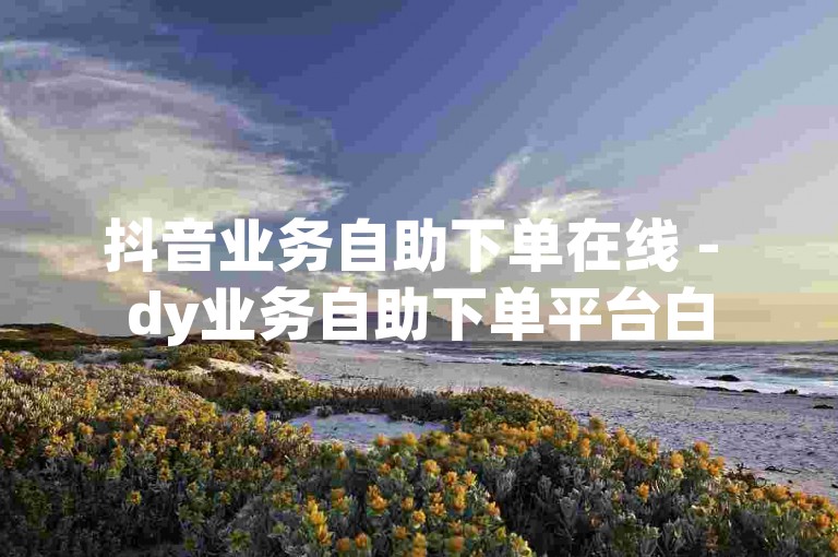 抖音业务自助下单在线 - dy业务自助下单平台白