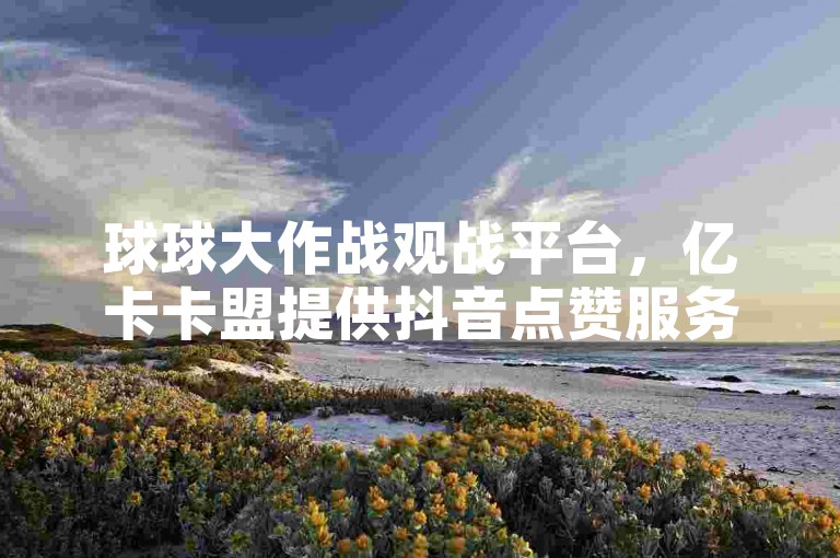球球大作战观战平台，亿卡卡盟提供抖音点赞服务，24小时在线，一毛钱可获10000赞。