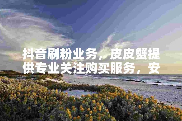 抖音刷粉业务，皮皮蟹提供专业关注购买服务，安卓手机版免费使用。