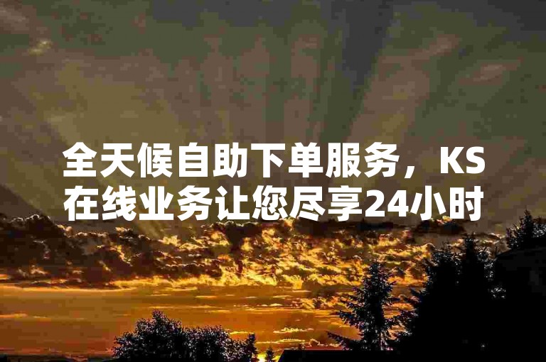 全天候自助下单服务，KS在线业务让您尽享24小时不间断的便捷体验，轻松提升浏览量。