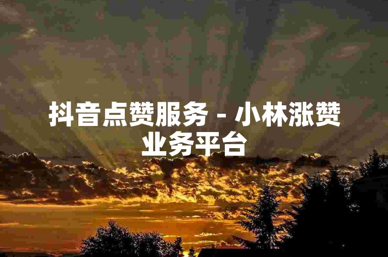 抖音点赞服务 - 小林涨赞业务平台