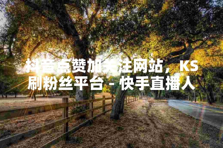 抖音点赞加关注网站，KS刷粉丝平台 - 快手直播人气提升 - 王者荣耀点券充值秒到账