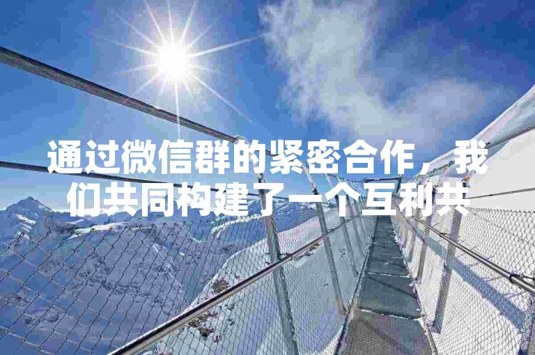 通过微信群的紧密合作，我们共同构建了一个互利共赢的社交网络环境。