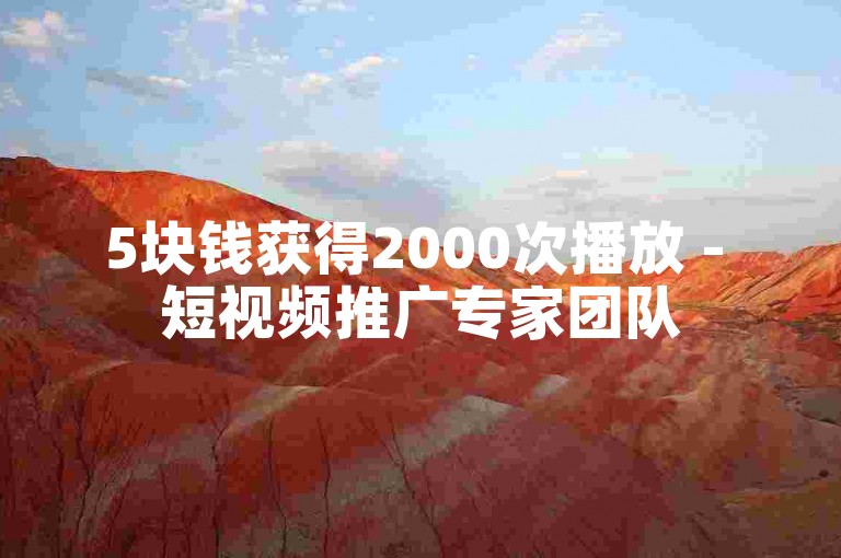 5块钱获得2000次播放 - 短视频推广专家团队