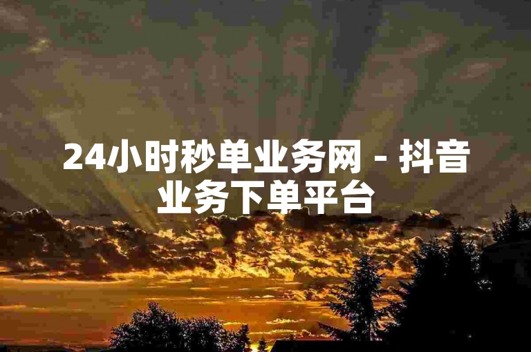 24小时秒单业务网 - 抖音业务下单平台