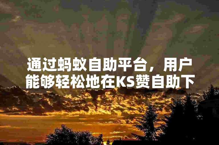 通过蚂蚁自助平台，用户能够轻松地在KS赞自助下单平台上完成业务下单，享受真人服务。