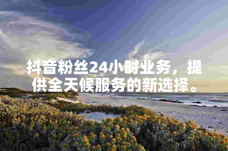 抖音粉丝24小时业务，提供全天候服务的新选择。