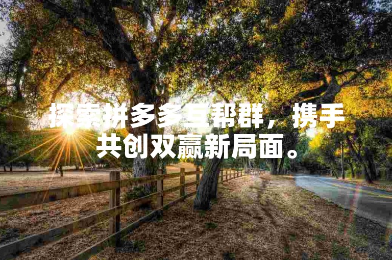 探索拼多多互帮群，携手共创双赢新局面。