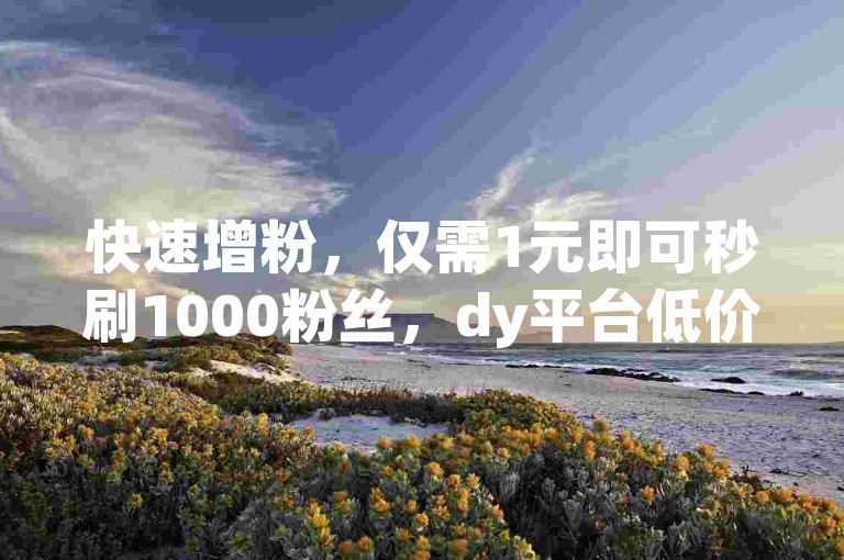 快速增粉，仅需1元即可秒刷1000粉丝，dy平台低价业务，立即下单享受！