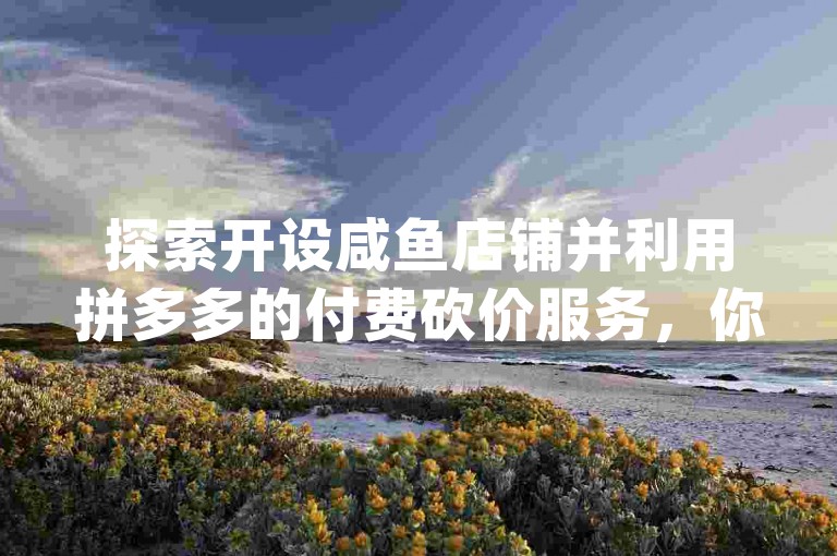 探索开设咸鱼店铺并利用拼多多的付费砍价服务，你可以尝试访问{pdd砍价网站}来获取更多指导和帮助。