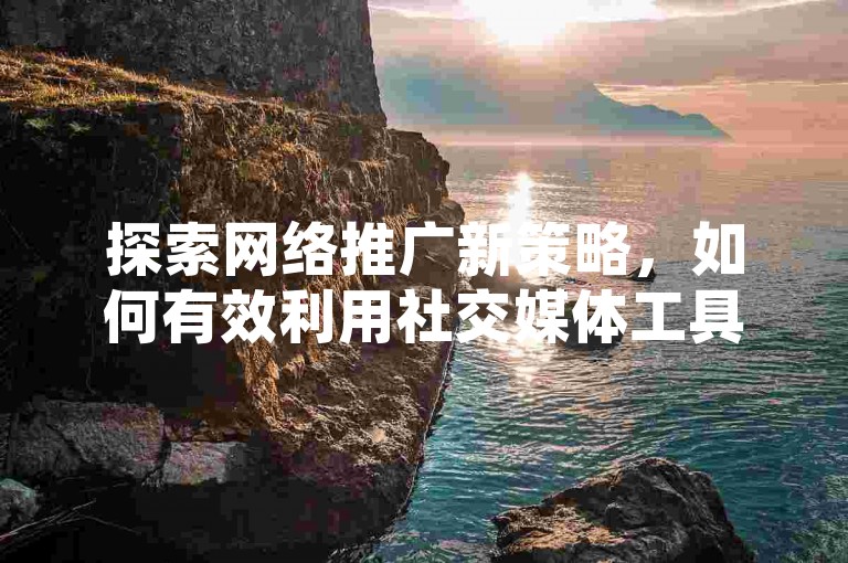 探索网络推广新策略，如何有效利用社交媒体工具迅速增加关注者。