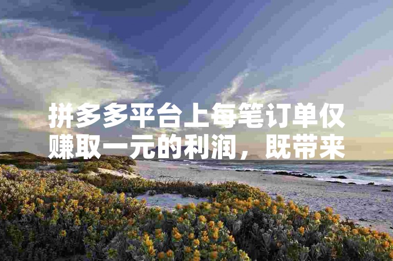 拼多多平台上每笔订单仅赚取一元的利润，既带来了吸引众多消费者的价格优势，也对企业的成本控制和运营效率提出了严峻挑战。