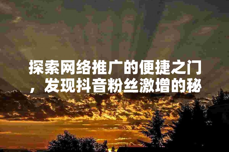 探索网络推广的便捷之门，发现抖音粉丝激增的秘密通道，同时体验快手播放量飞速增长的服务。