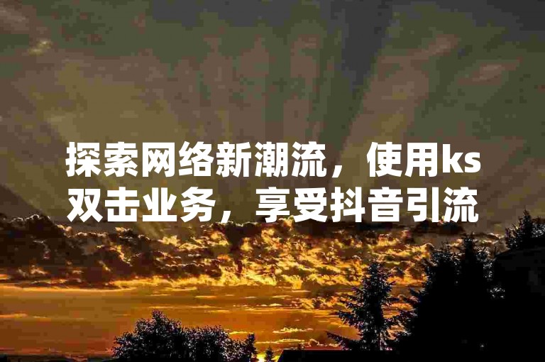 探索网络新潮流，使用ks双击业务，享受抖音引流神器app带来的便捷，轻松实现ks一元1000个赞秒到的高效服务。