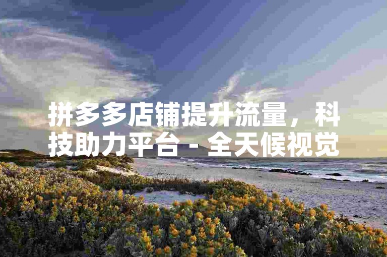 拼多多店铺提升流量，科技助力平台 - 全天候视觉发卡服务 - 微商软件即时自助购买。
