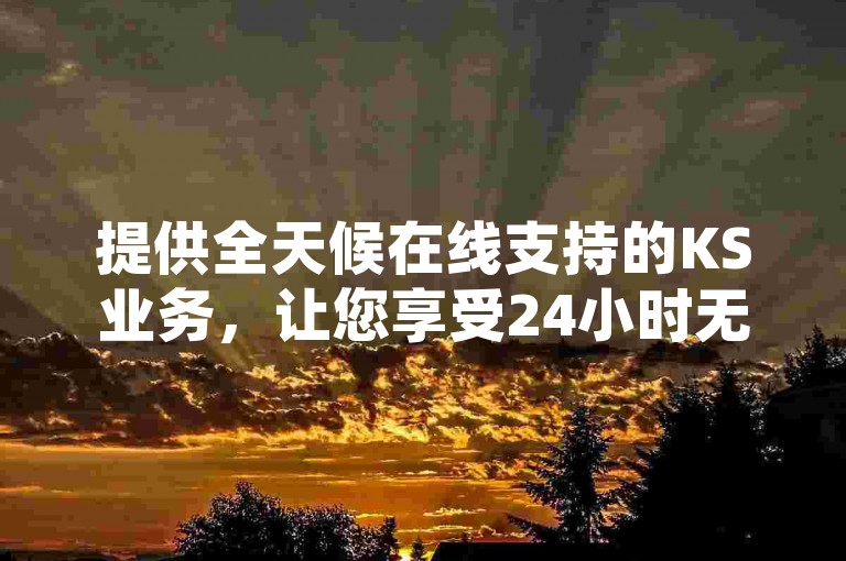 提供全天候在线支持的KS业务，让您享受24小时无缝下单体验，同时我们的小红书点赞服务和抖音自助平台确保您随时获得高效服务。