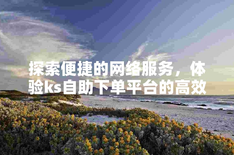 探索便捷的网络服务，体验ks自助下单平台的高效与创新。