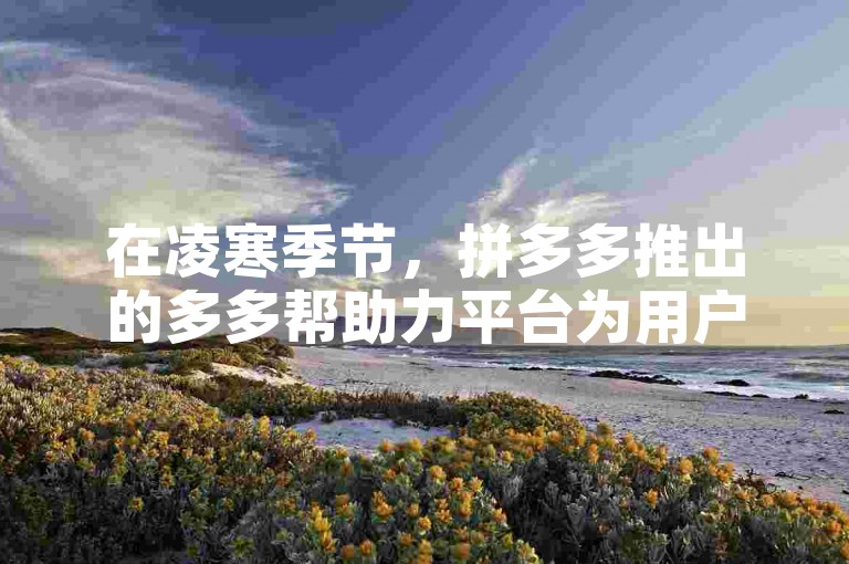 在凌寒季节，拼多多推出的多多帮助力平台为用户提供了便捷的在线支持服务。