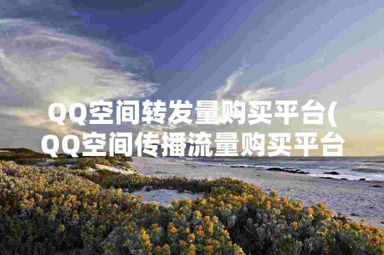 QQ空间转发量购买平台(QQ空间传播流量购买平台)是一个专门为需要提升社交媒体影响力的用户设计的工具。