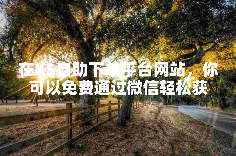 在KS自助下单平台网站，你可以免费通过微信轻松获取三元一万的粉丝增长服务。