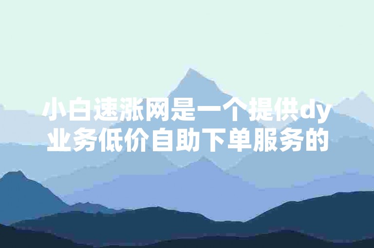 小白速涨网是一个提供dy业务低价自助下单服务的真人平台。