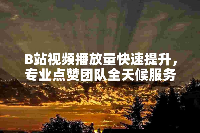 B站视频播放量快速提升，专业点赞团队全天候服务。