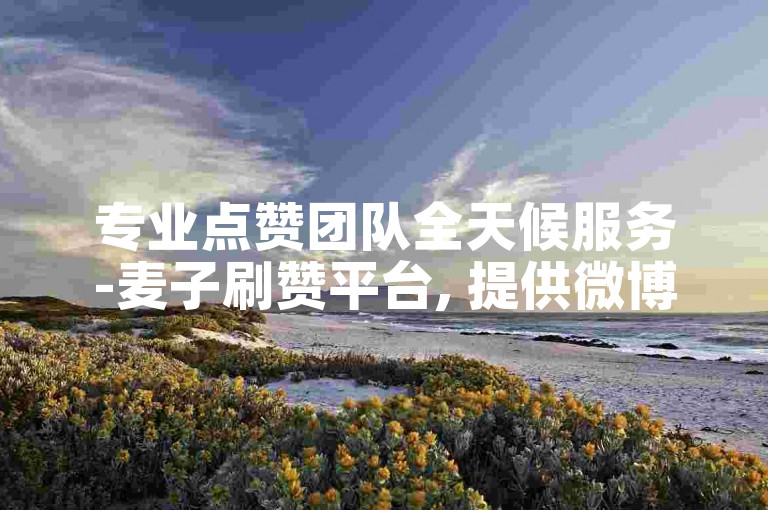 专业点赞团队全天候服务-麦子刷赞平台, 提供微博真实粉丝增长服务。