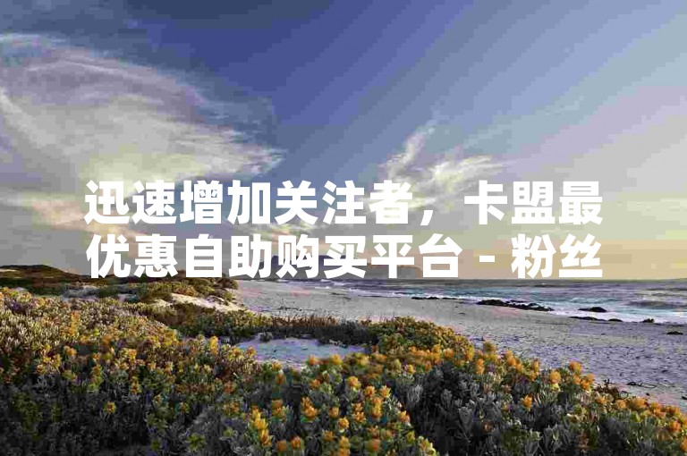 迅速增加关注者，卡盟最优惠自助购买平台 - 粉丝交易市场 - 全天候自动下单抖音